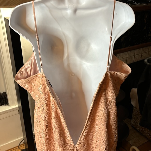 Gorgeous Bardot nude lace dress, size 10. - Picture 6 of 8